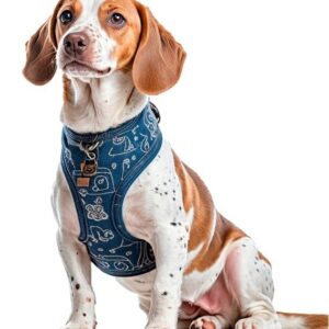 MOLDE ARNES AJUSTABLE MASCOTA ACC 2407