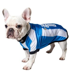 MOLDE CAMISETA FUTBOL MASCOTA ACC 2409