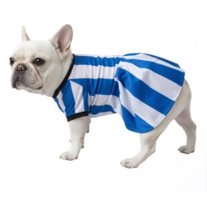 MOLDE CAMISETA FUTBOL MASCOTA ACC 2410