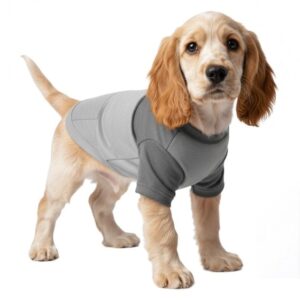 MOLDE CAMISETA MASCOTA ACC 2414