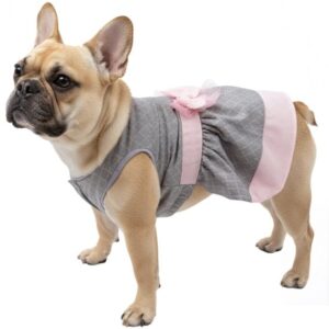 MOLDE VESTIDO MASCOTA ACC 2402P