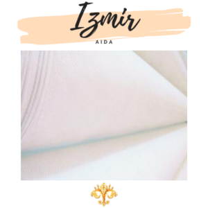 AIDA