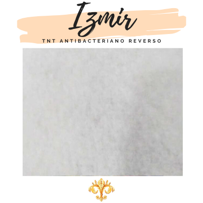 TNT ANTIBACTERIAL - Imagen 2