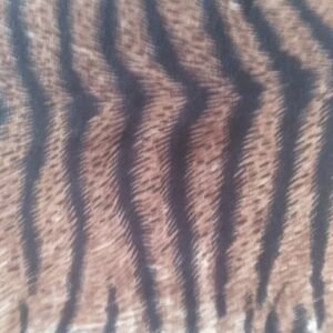 POLIVISCOSA ANIMAL PRINT